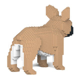 Jekca French Bulldog 02-M01
