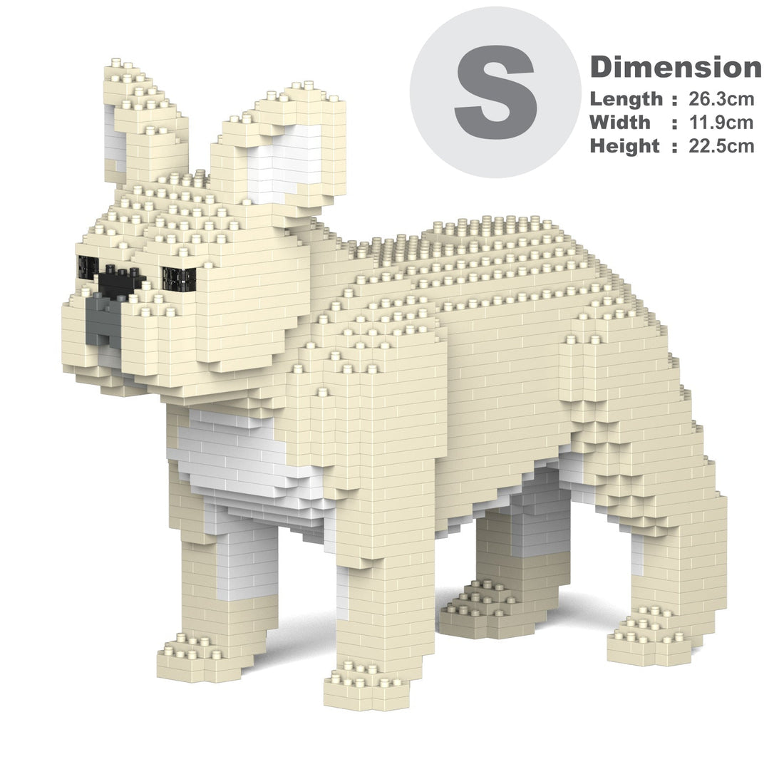 French Bulldog 02-M02