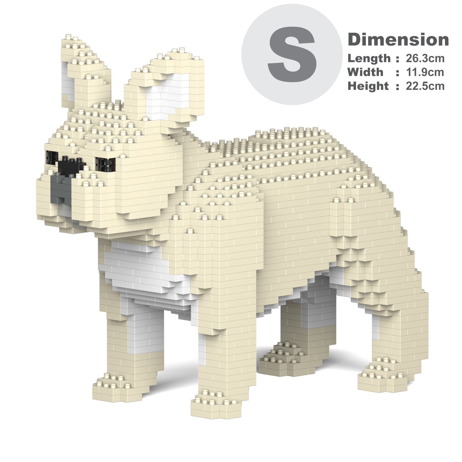 French Bulldog 02-M02