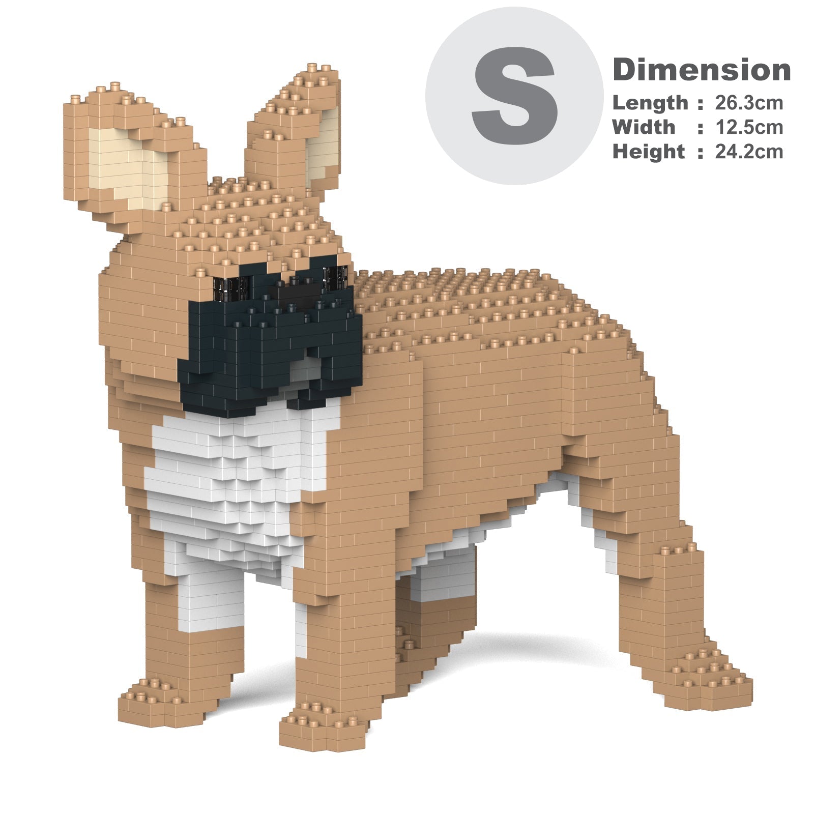 French Bulldog 03-M01