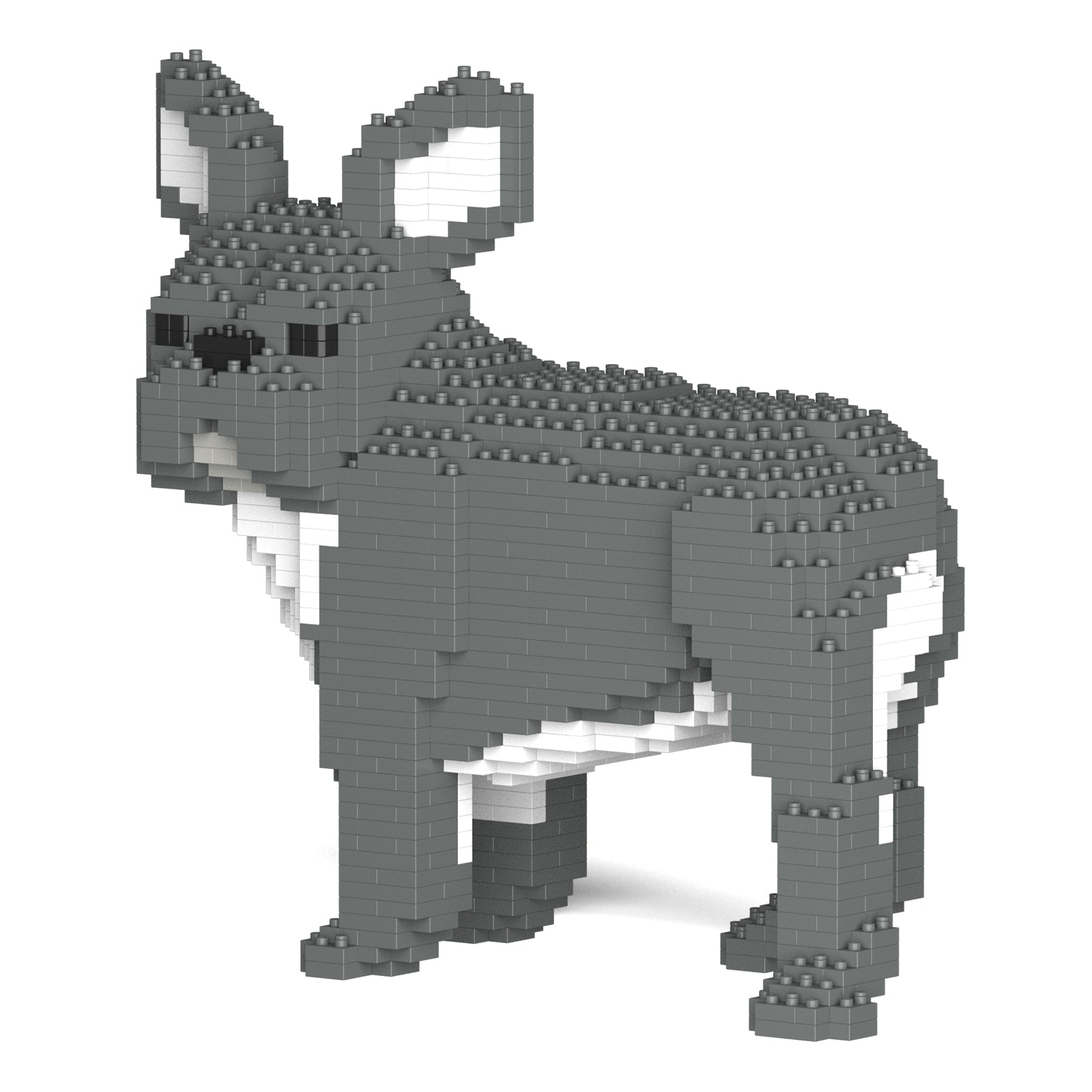 French Bulldog 03-M05