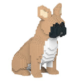 Jekca French Bulldog 04-M01