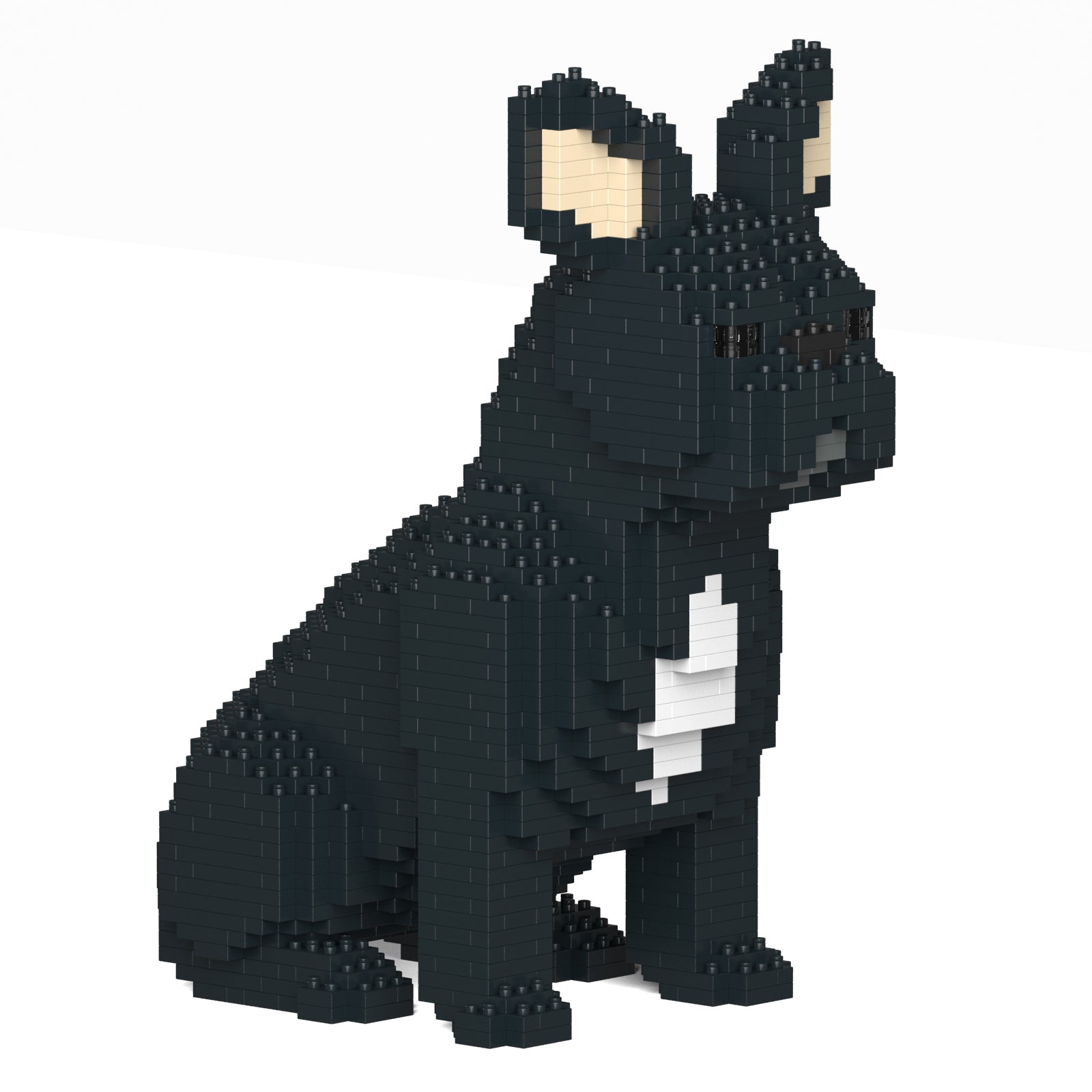 French Bulldog 04-M03