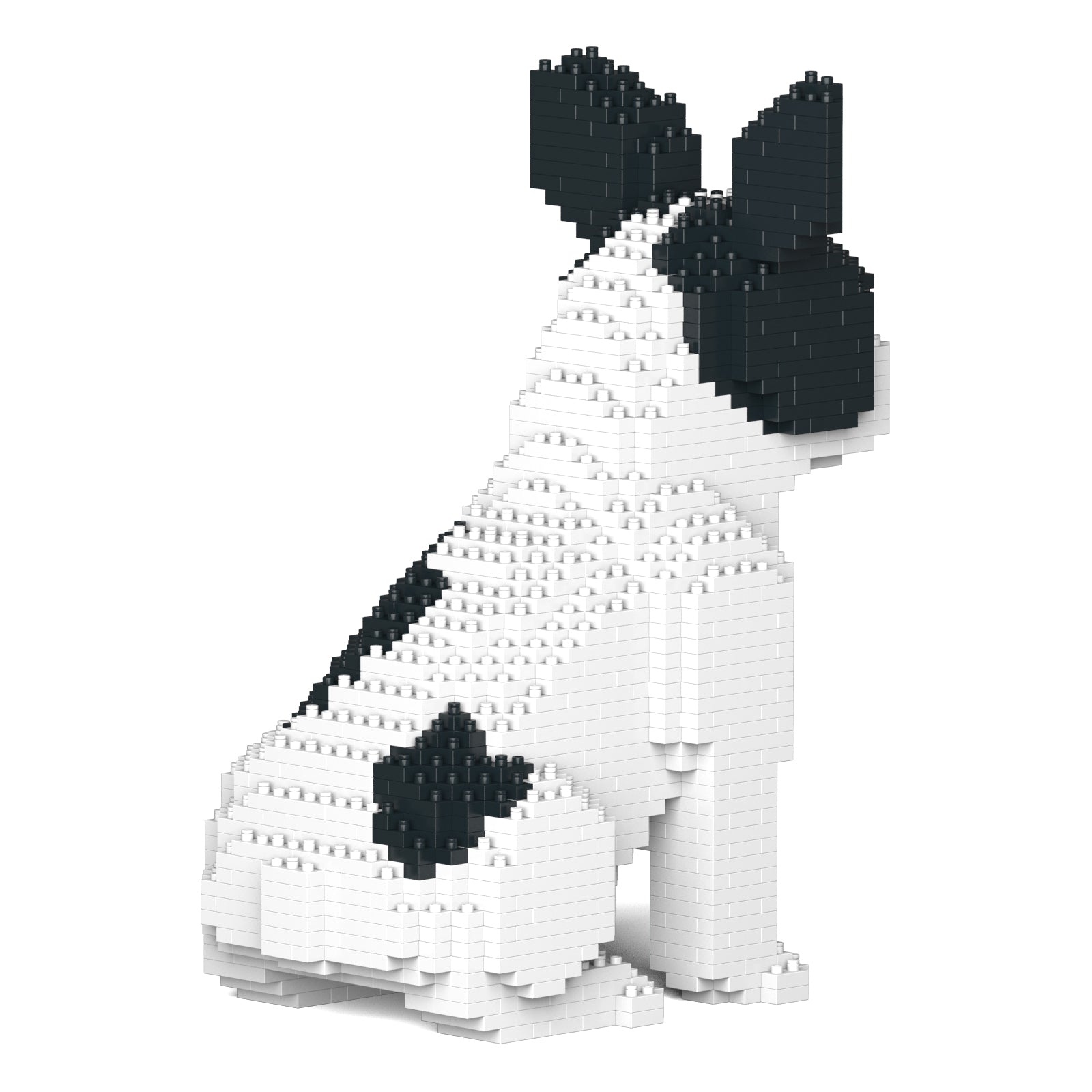 Jekca French Bulldog 04-M04