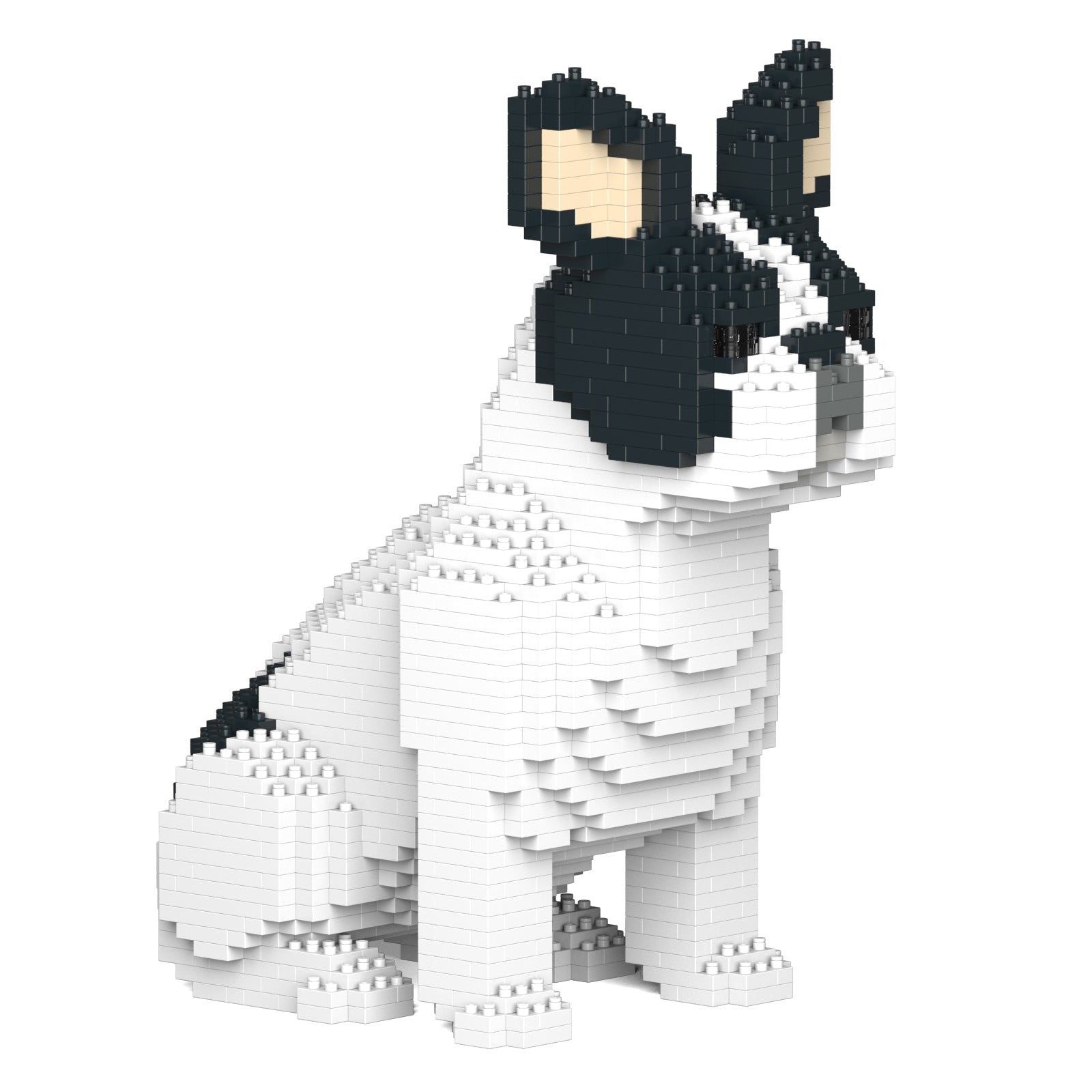 Jekca French Bulldog 04-M04