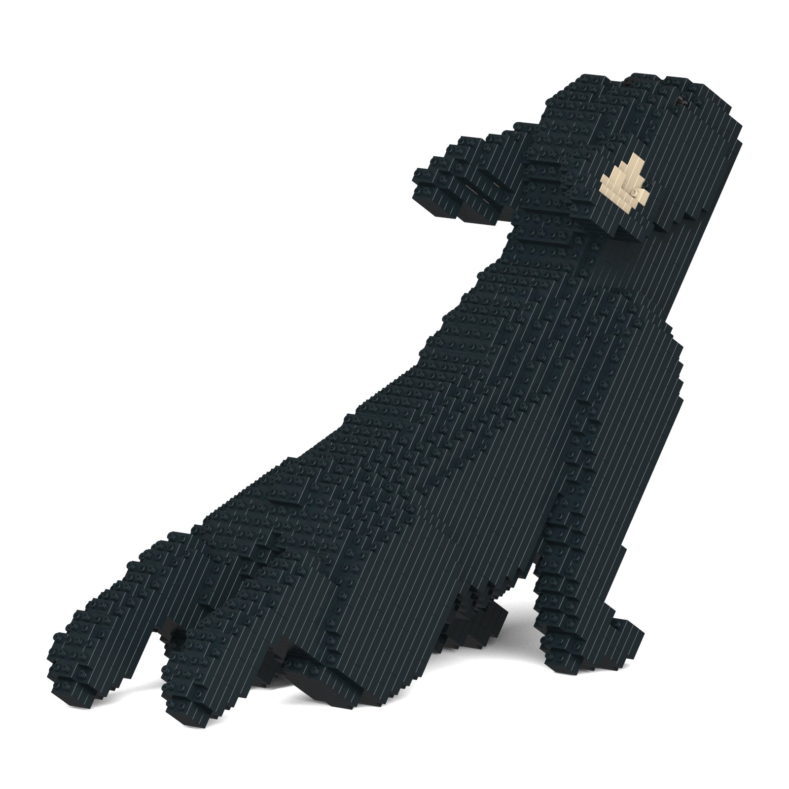 French Bulldog 05-M03