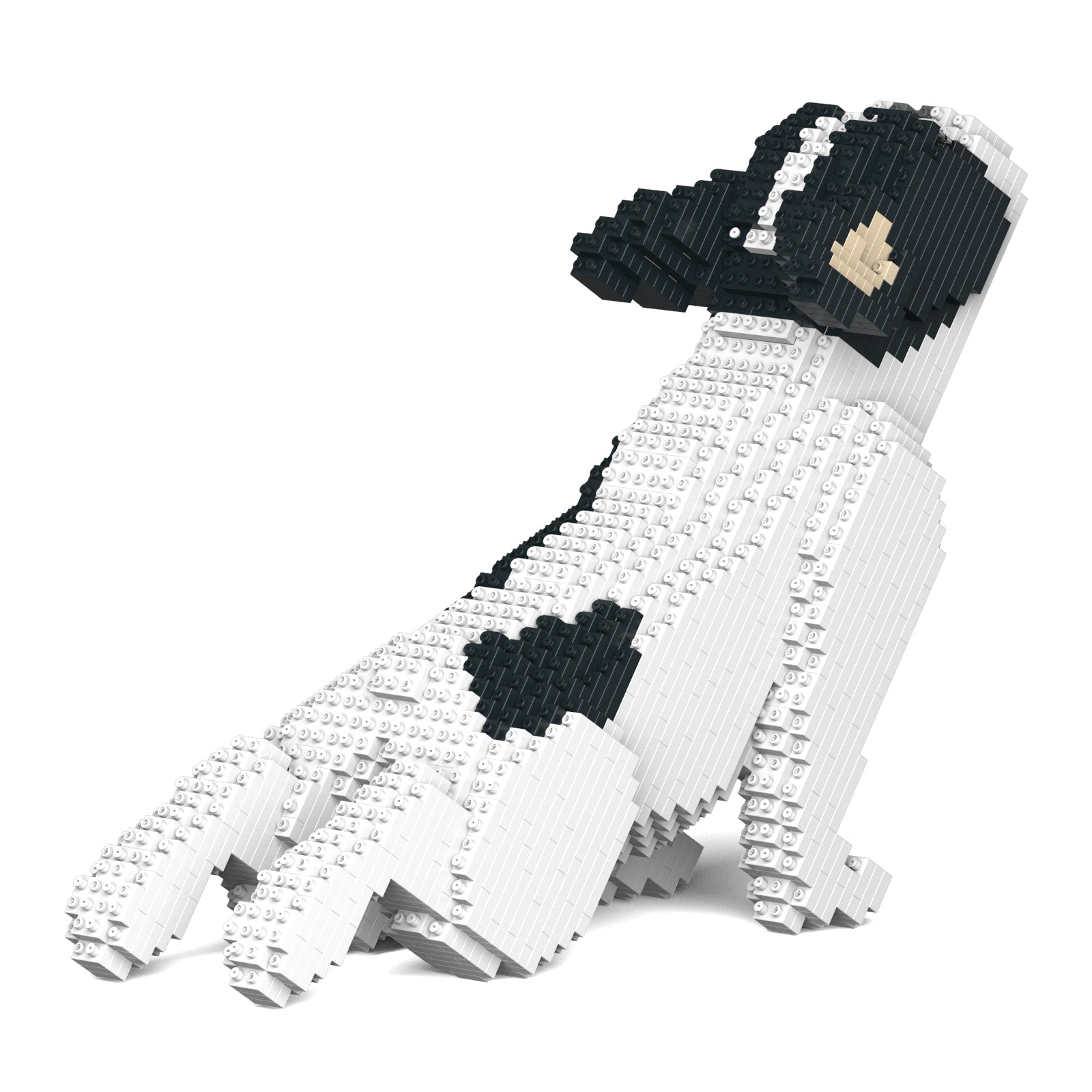 French Bulldog 05-M04