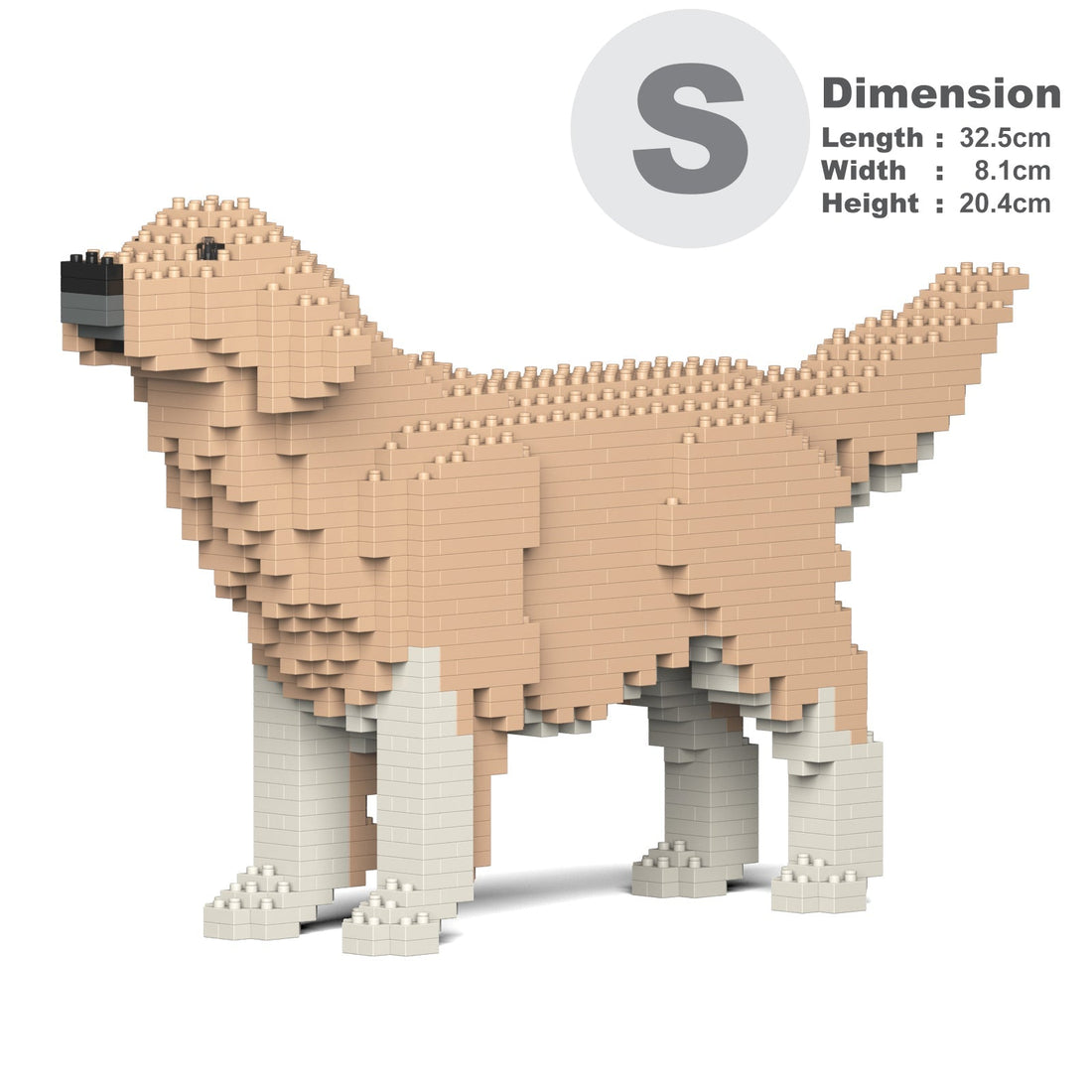 Golden Retriever 02-M01