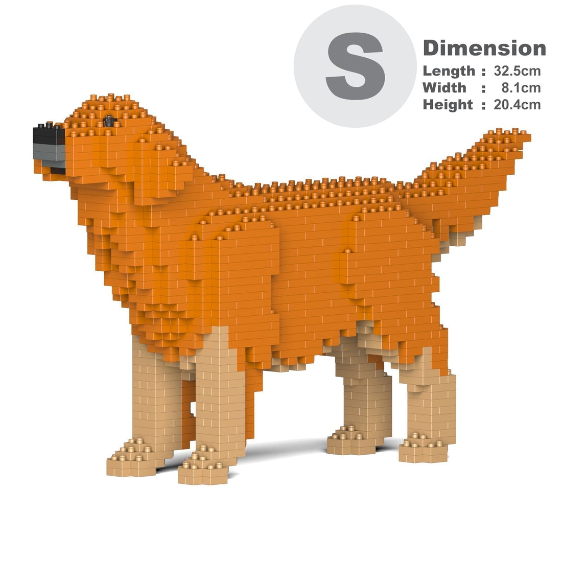 Golden Retriever 02-M02
