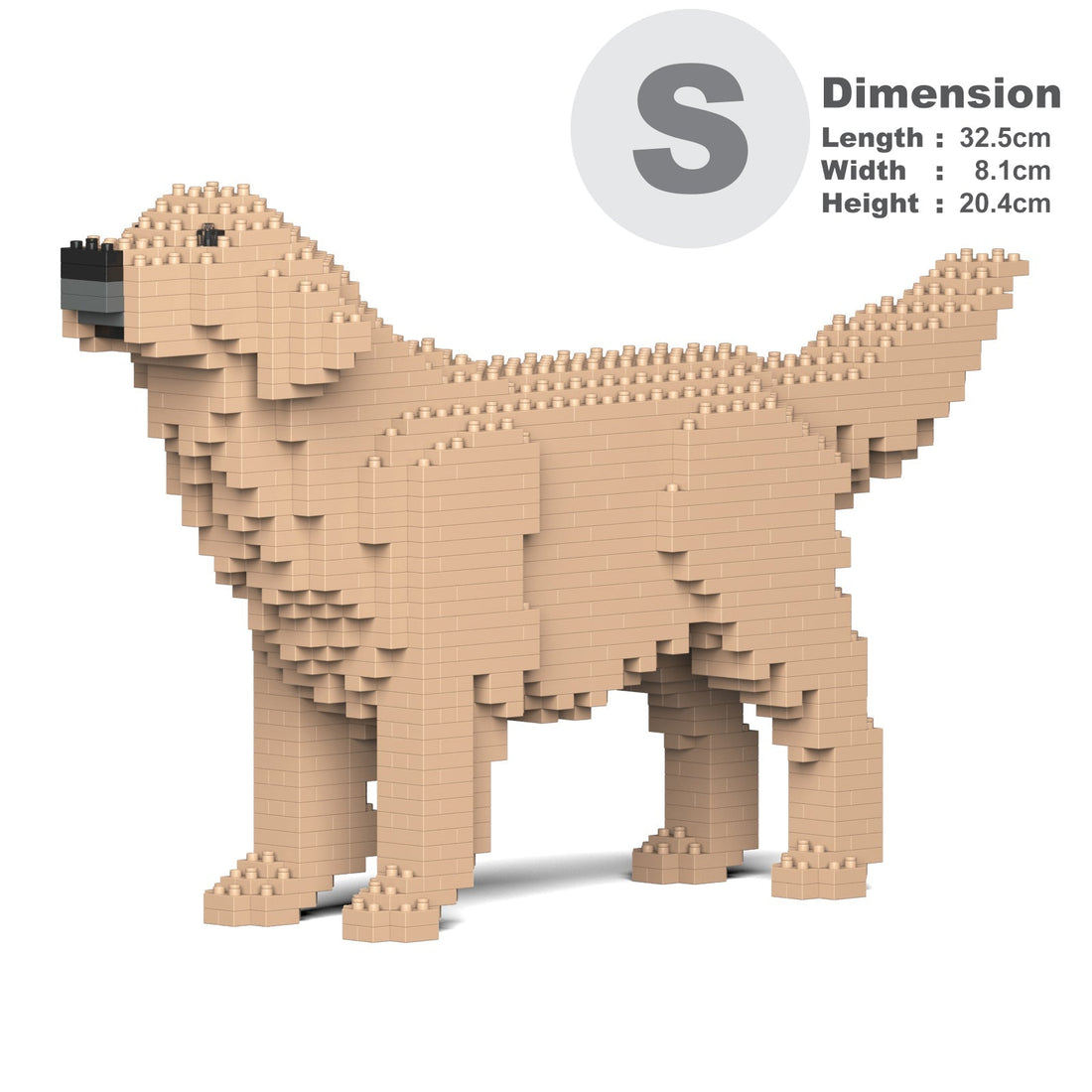 Golden Retriever 02-M03