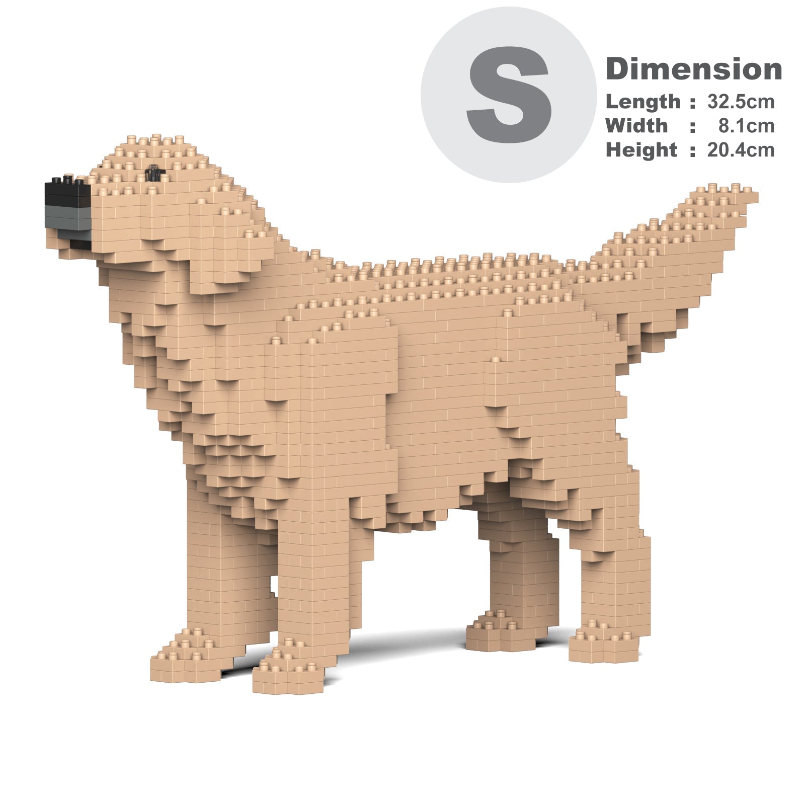 Golden Retriever 02-M03