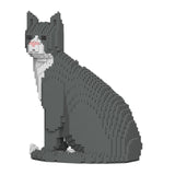 Jekca Grey Tuxedo Cat 01S