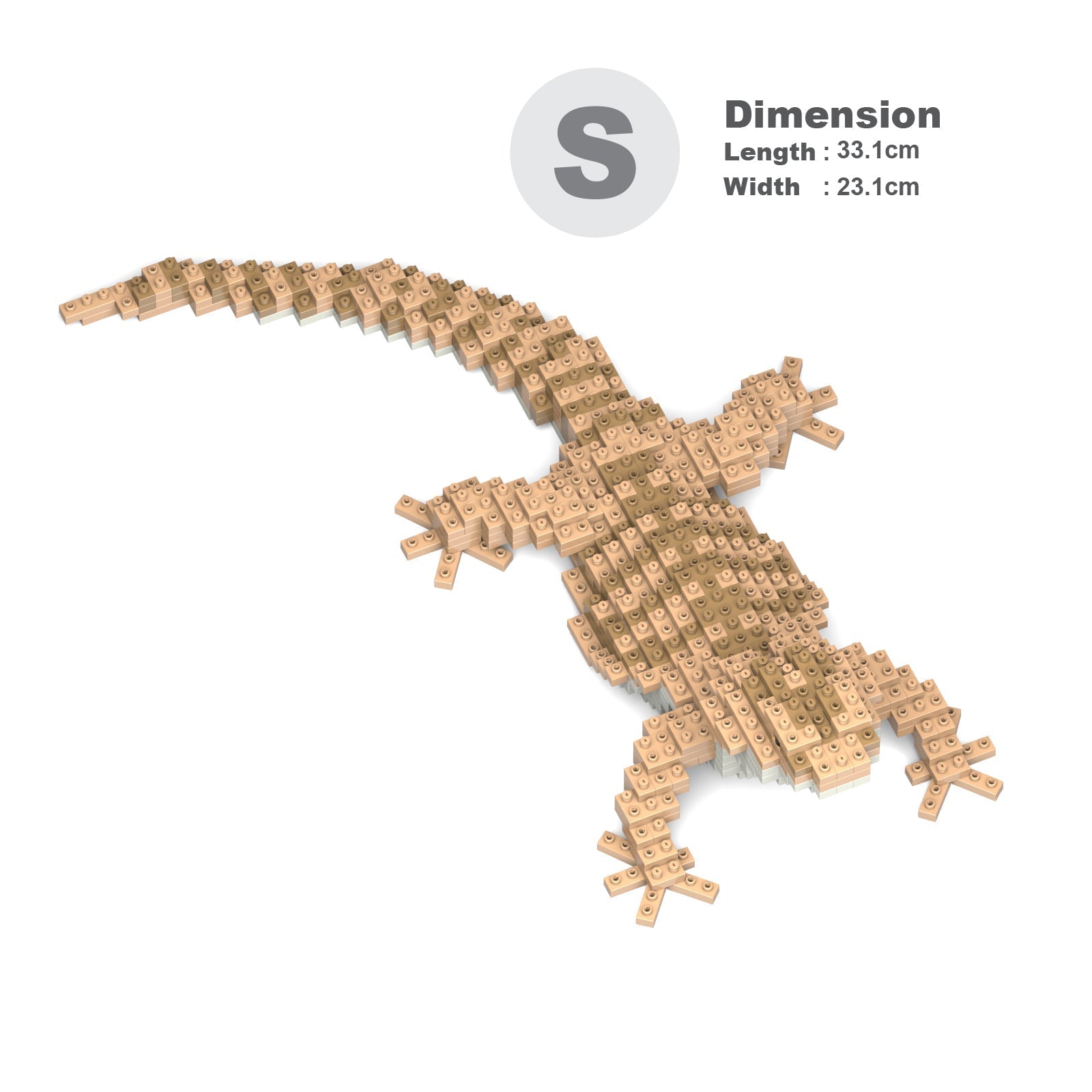 Bearded Dragon 01