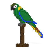 Jekca Yellow Collared Macaw 01S