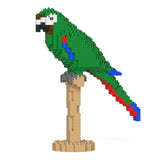 Jekca Chestnut-fronted Macaw 01S