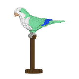 Jekca Quaker Parrot 01S-M01