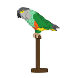 Jekca Senegal Parrot 01S