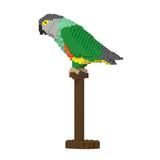 Jekca Senegal Parrot 01S