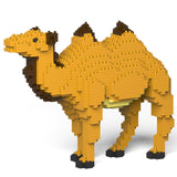 Jekca Camel 01