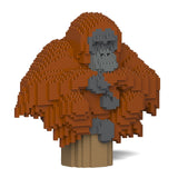 Jekca Orangutan 01