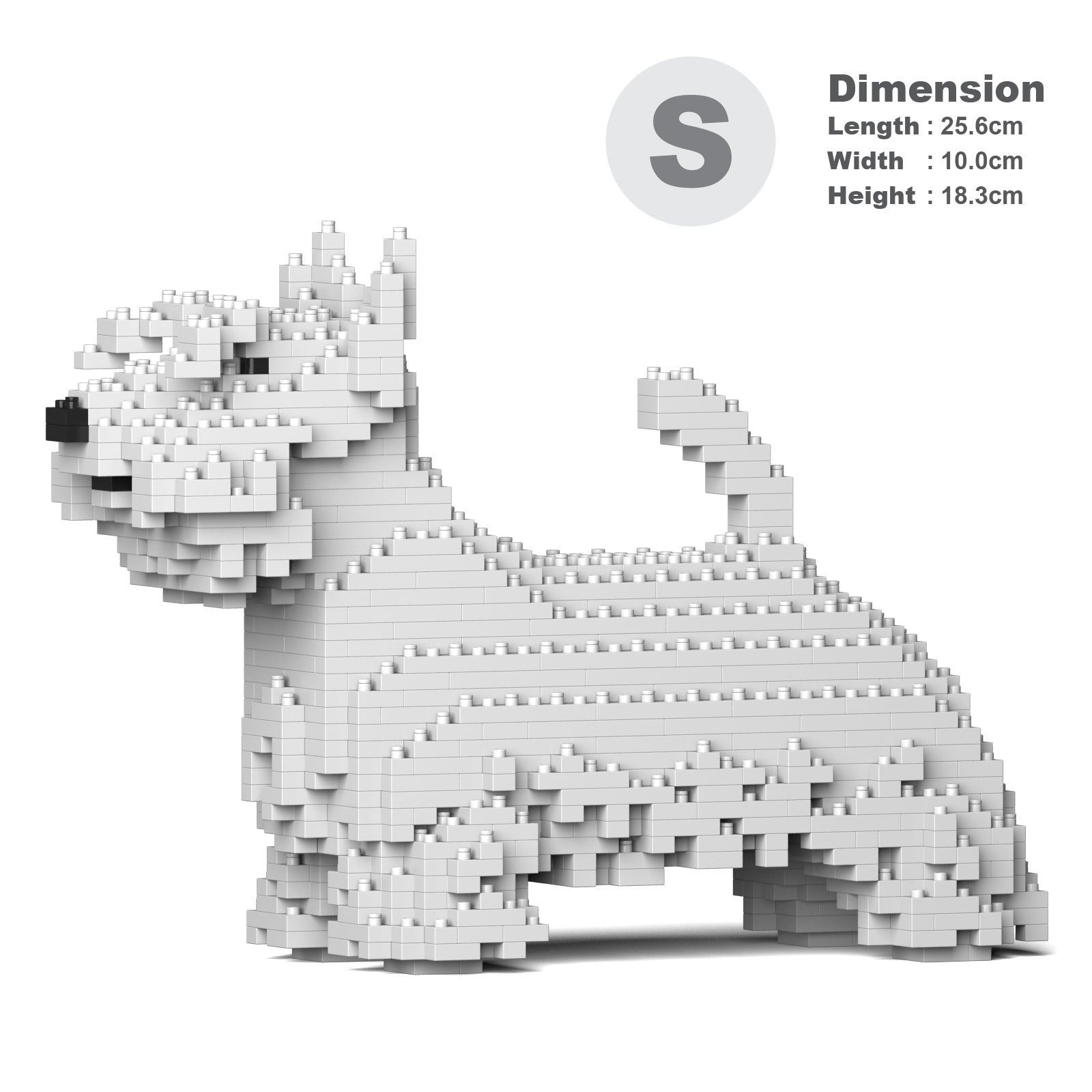 Scottish Terrier 01-M02