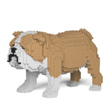 Jekca English Bulldog 01-M03