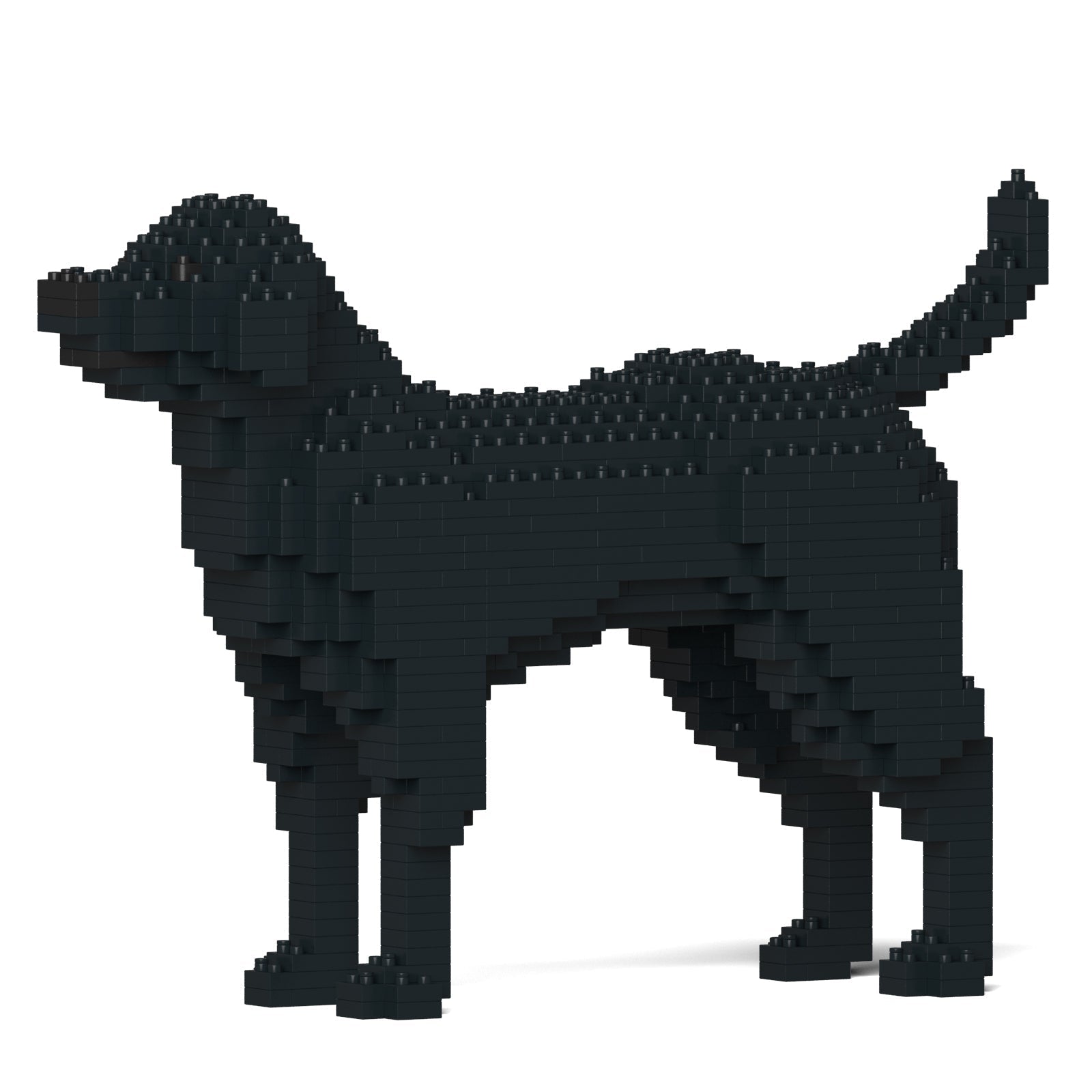 Dog building blocks 2025