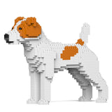 Jekca Jack Russell Terrier 01-M01