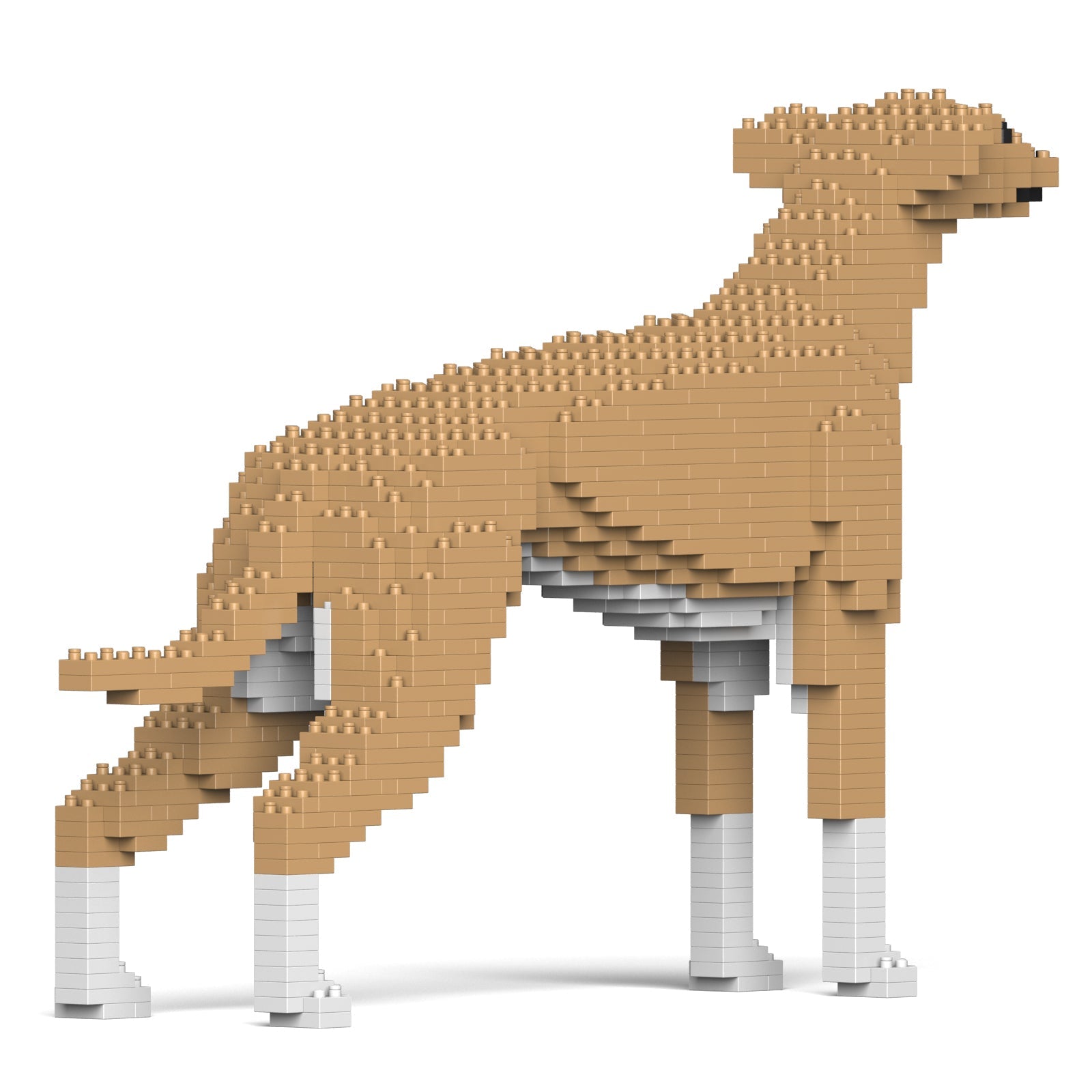 Greyhound 01-M01