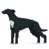 Jekca Greyhound 01-M02