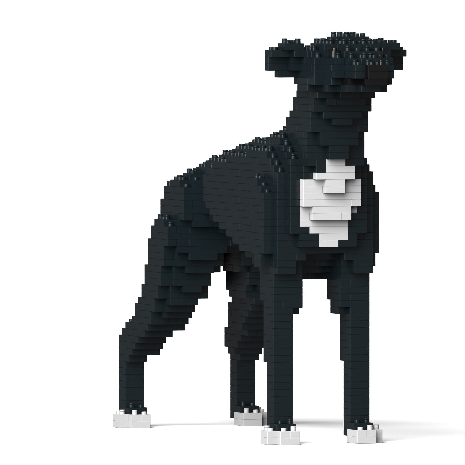 Greyhound 01-M02
