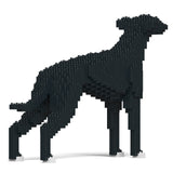 Jekca Greyhound 01-M02
