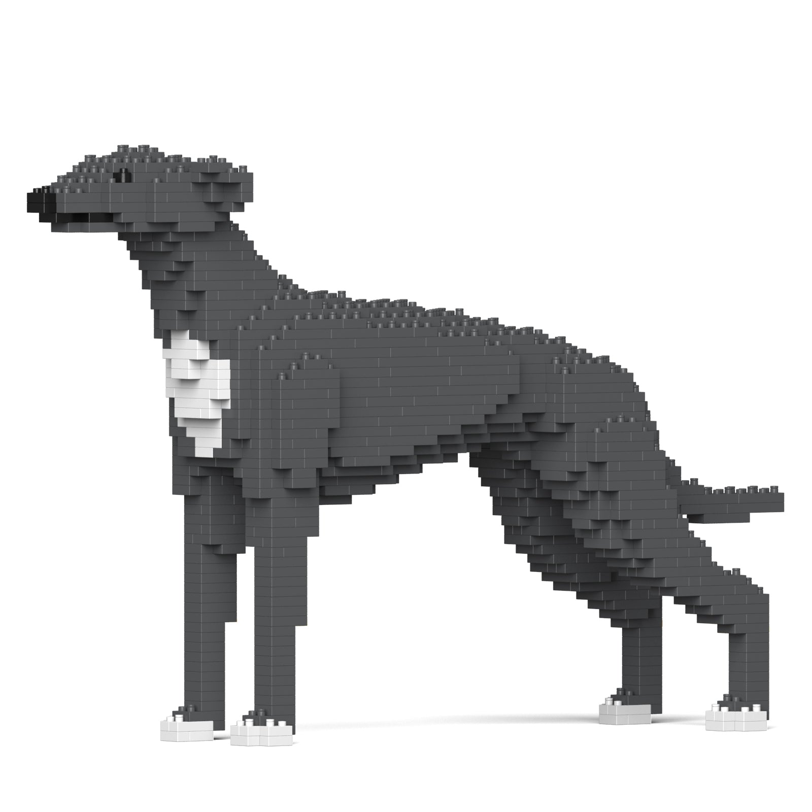 Greyhound 01-M03