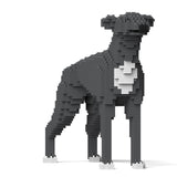 Jekca Greyhound 01-M03