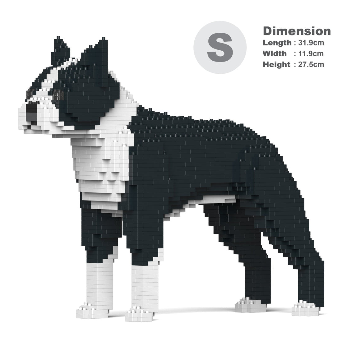 Jekca Boston Terrier 01-M01