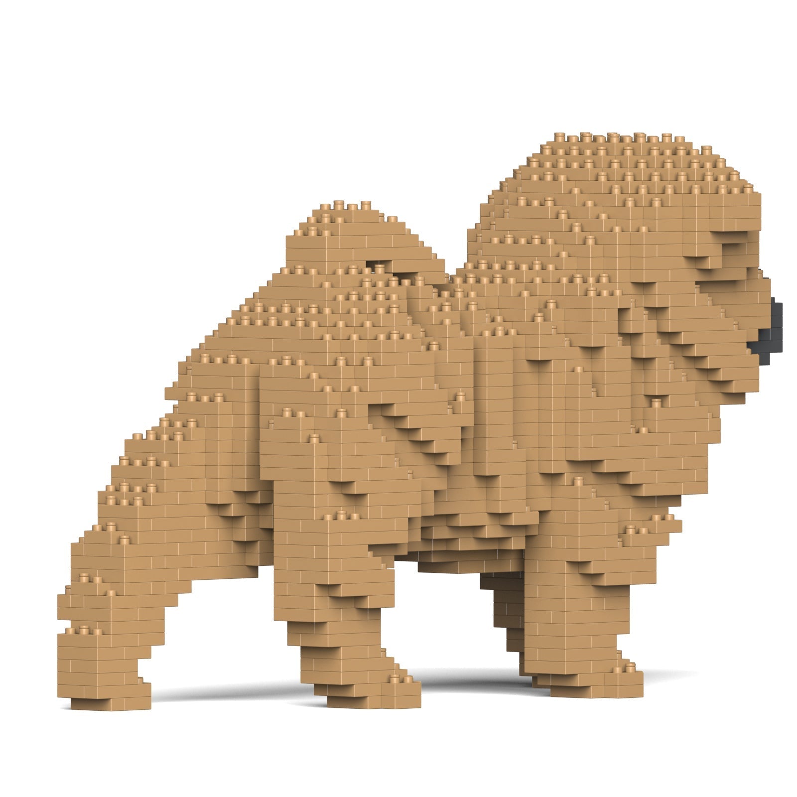 Jekca Shar Pei Dog 01-M01