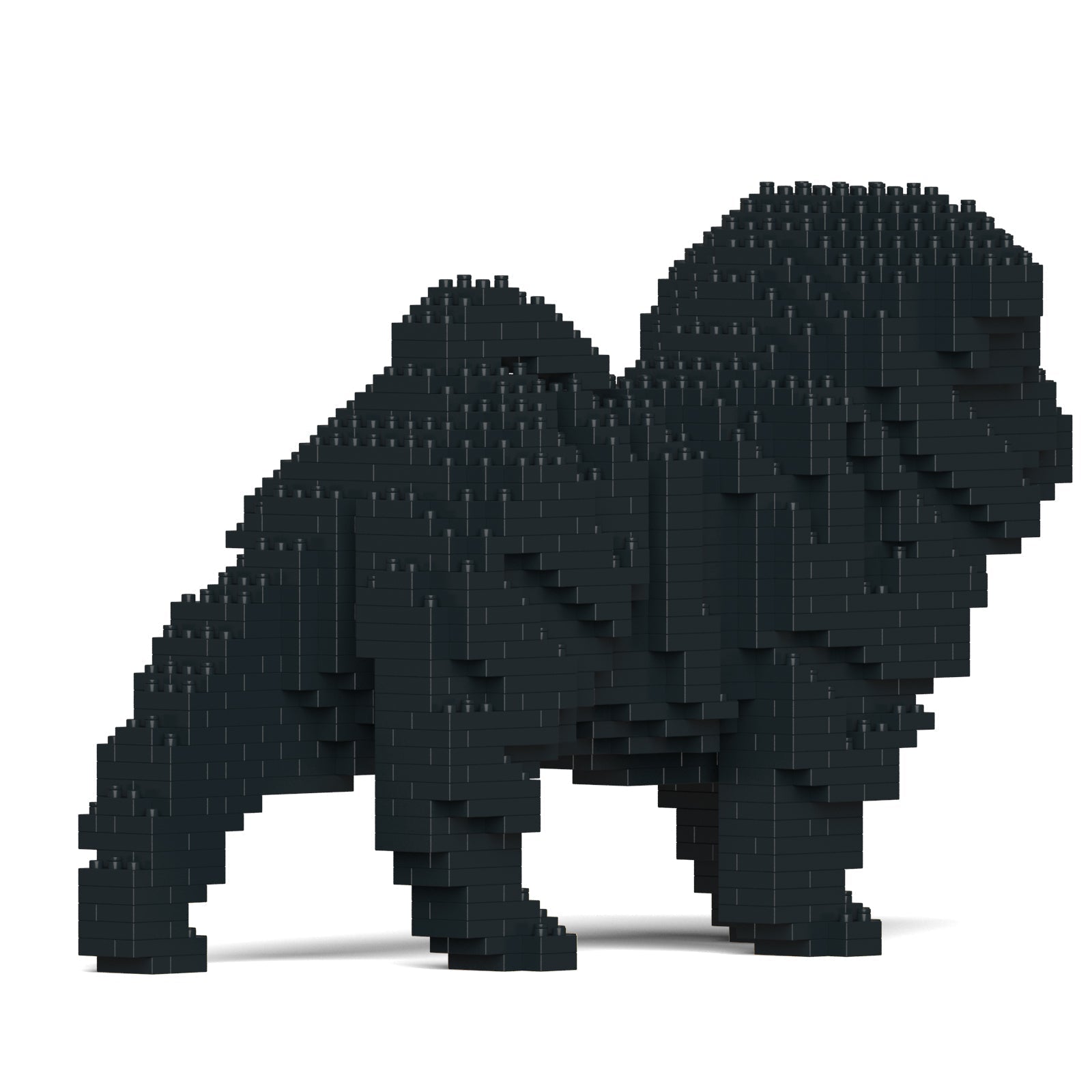 Jekca Shar Pei Dog 01-M02
