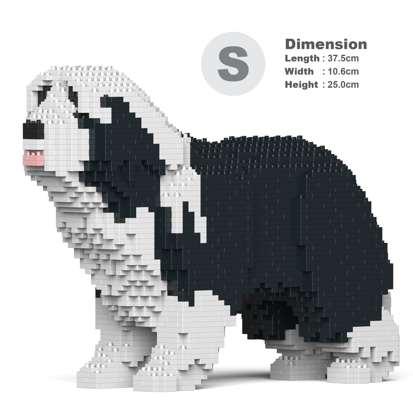 Bearded Collie 01-M01