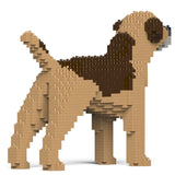 Jekca Border Terrier 01-M02