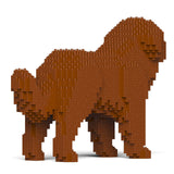 Jekca Newfoundland Dog 01-M01