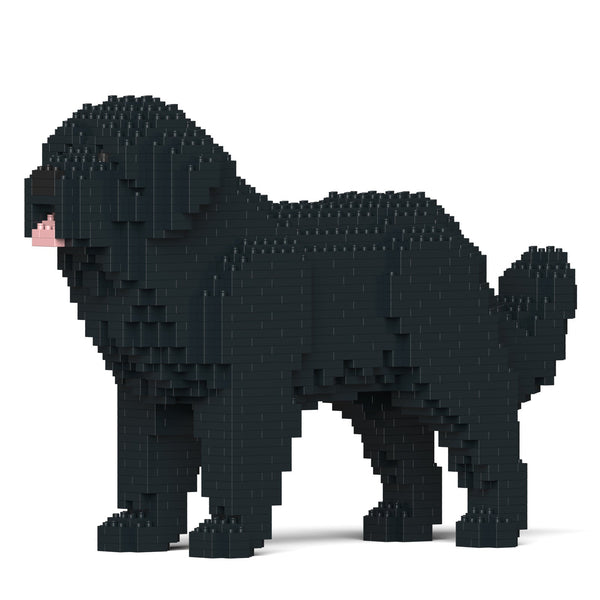 Jekca Newfoundland Dog 01-M02