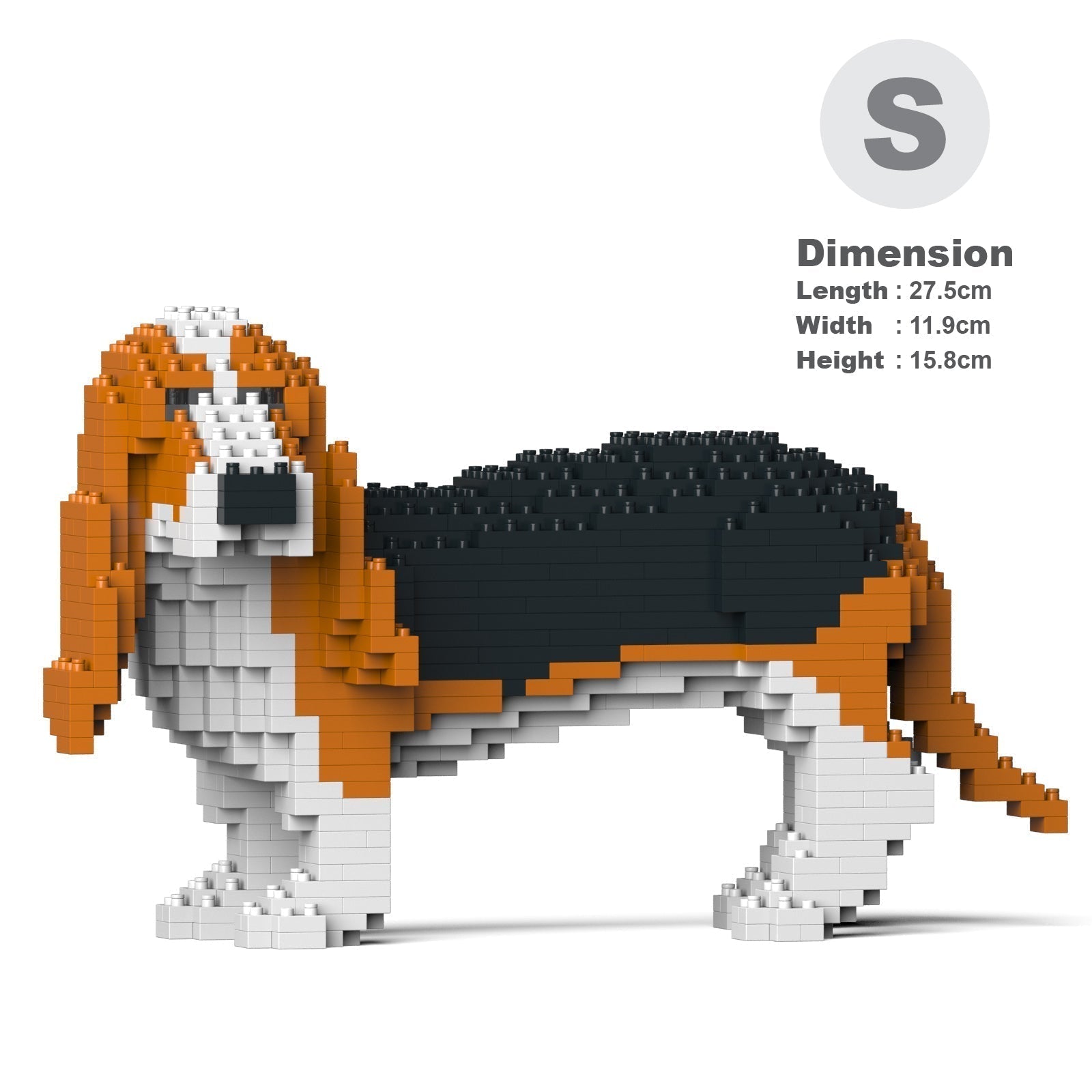 Basset Hound 01-M01