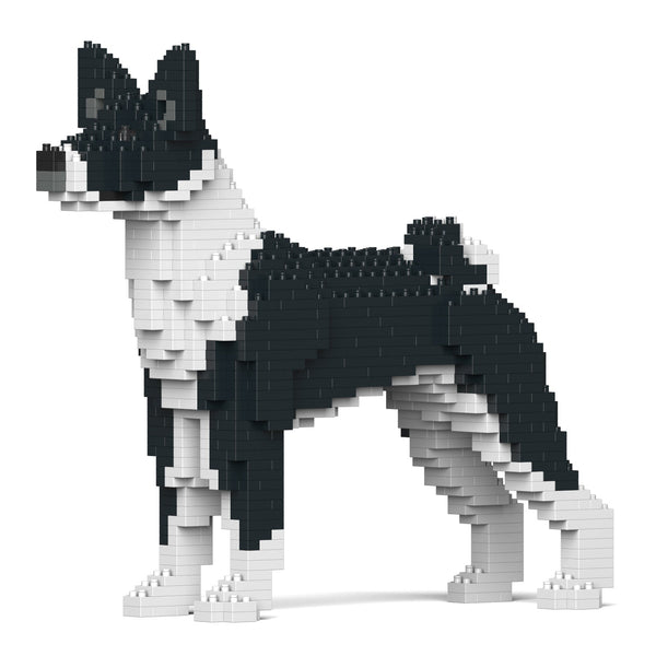 Jekca Basenji 01-M02