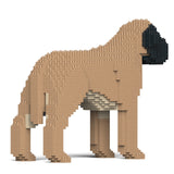 Jekca English Mastiff 01-M01