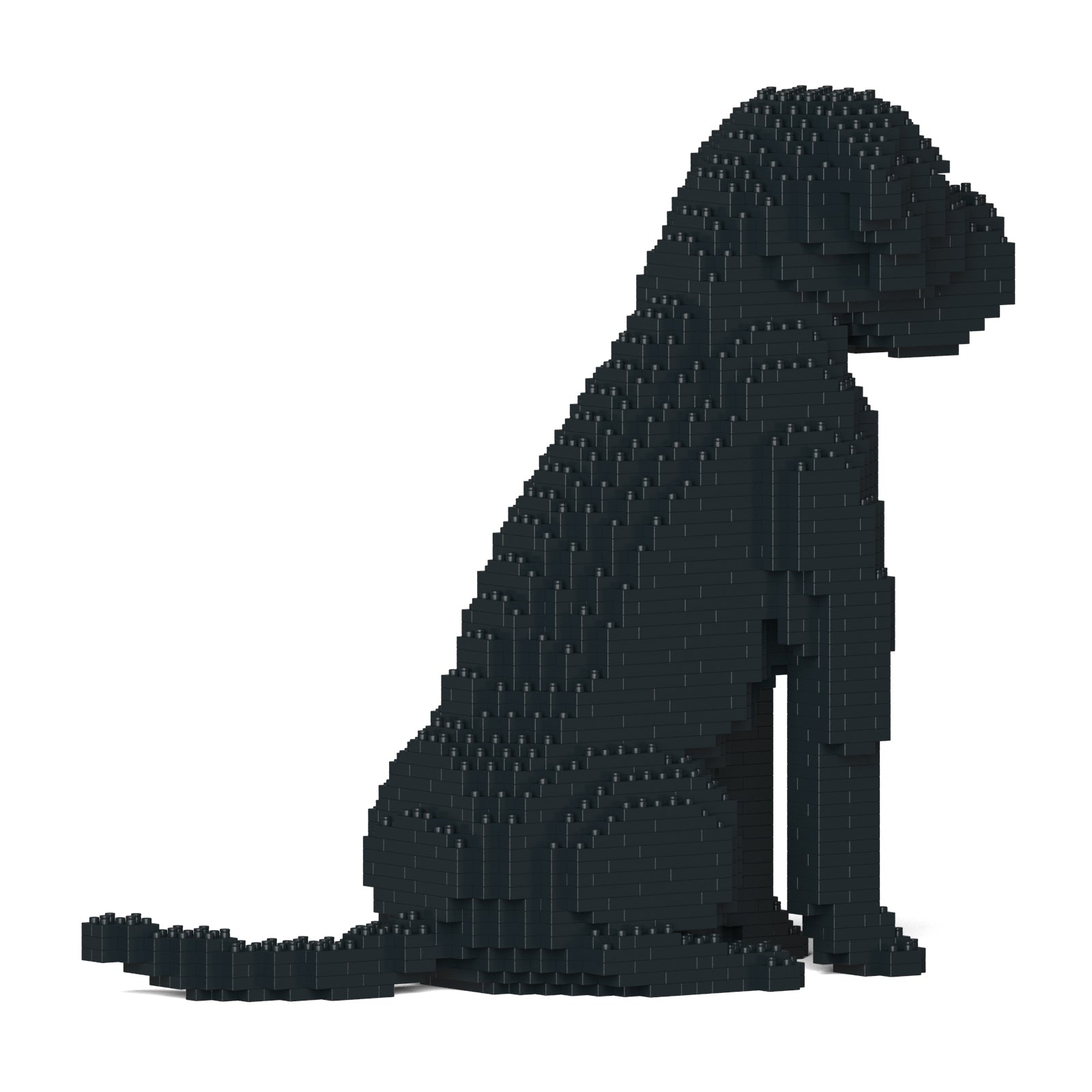 Jekca Cane Corso Dog 01-M01