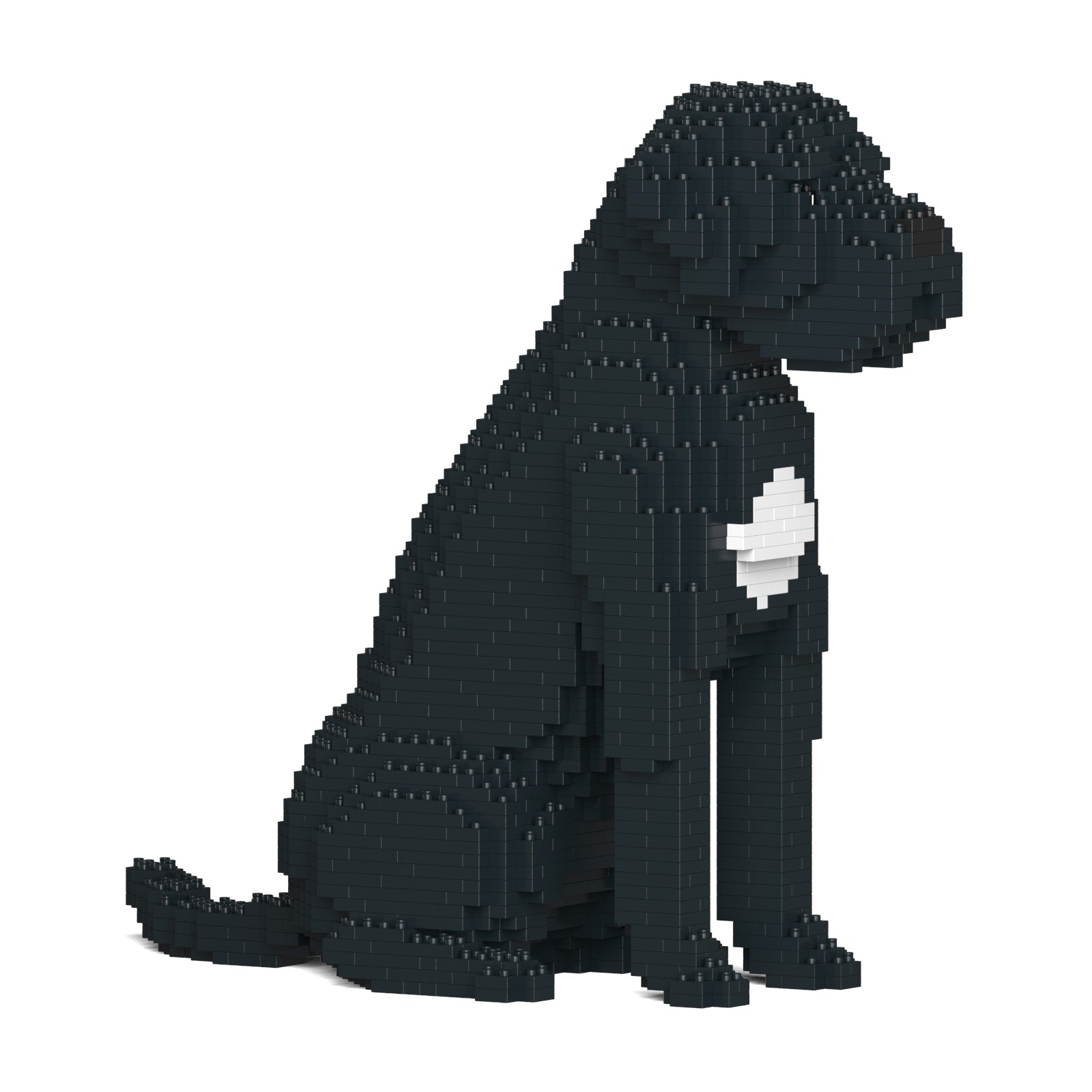 Jekca Cane Corso Dog 01-M01