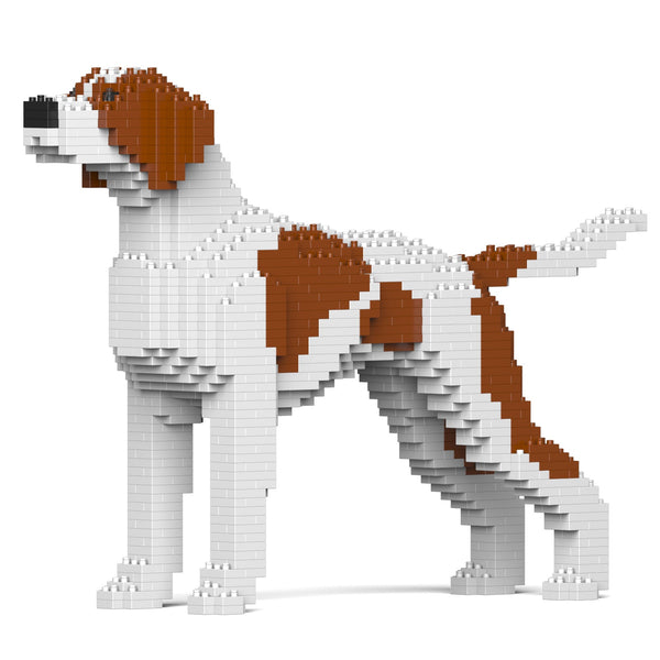 Jekca English Pointer 01-M01