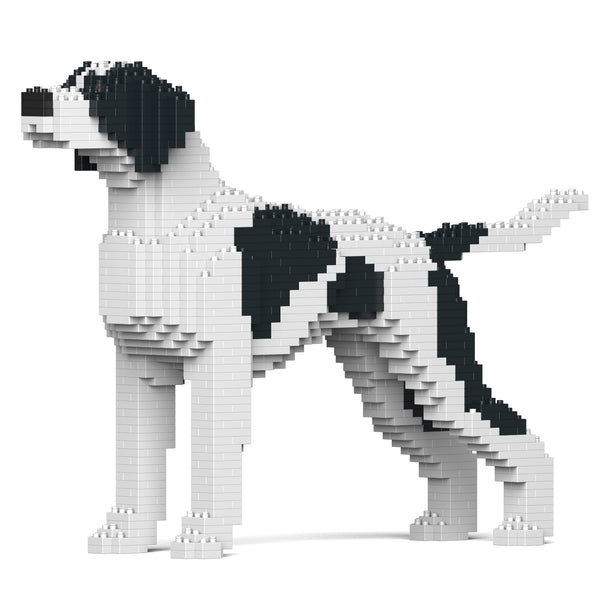 Jekca English Pointer 01-M02