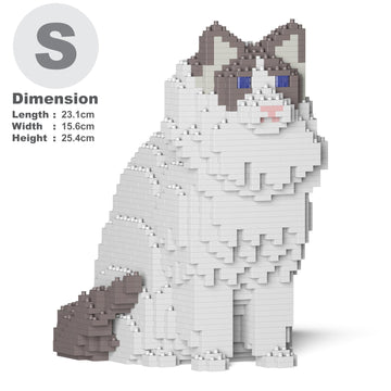 Ragdoll Cat 01S-M02