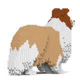 Jekca Shetland Sheepdog 02-M01